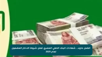 أفضل عائد.. شهادات البنك الأهلي المصري تعلن شروط الادخار المضمون لعام 2025